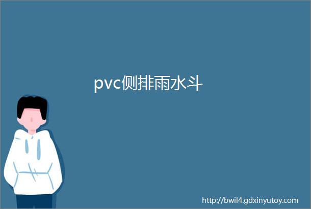 pvc侧排雨水斗